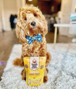 Dog wearing bow tie stands behind turmeric dog treats