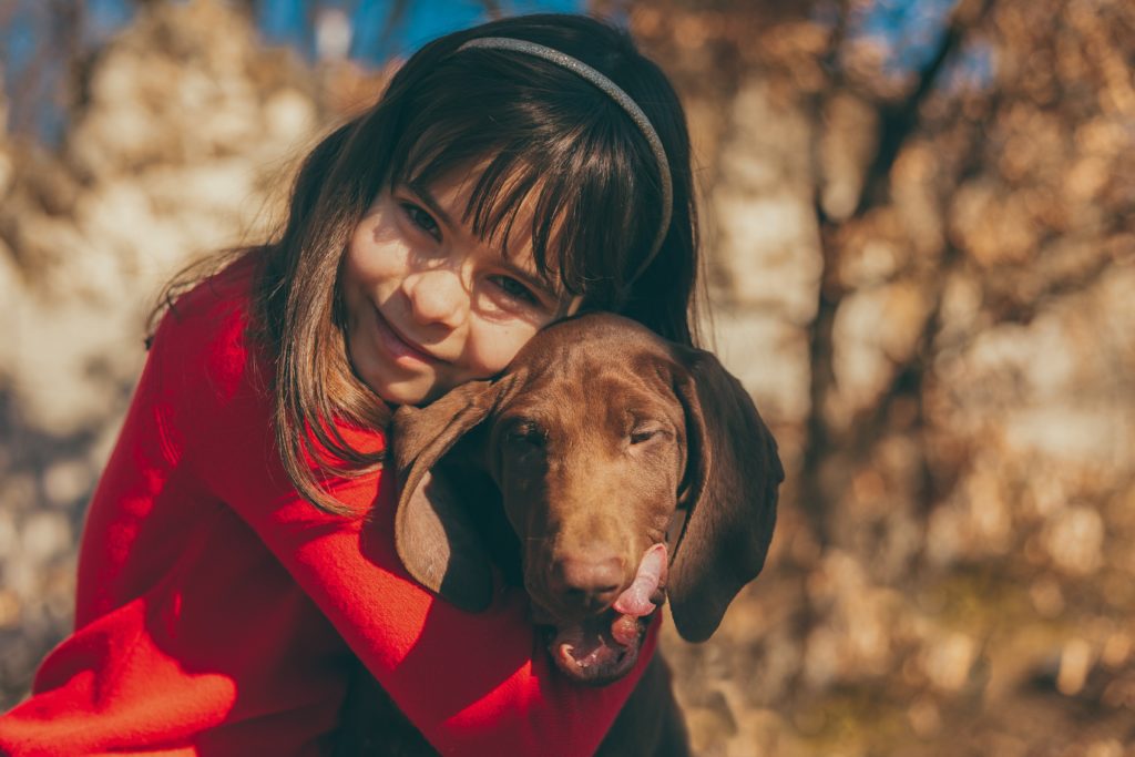 Young girl in red sweater hugging a brown hunting breed dog myths busted