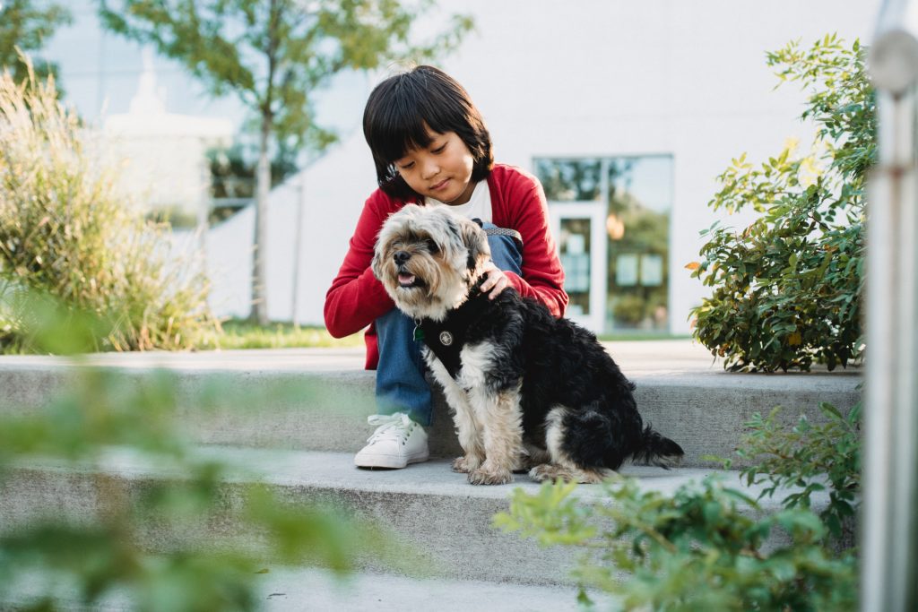 Little boy with black hair and red sleeved shirt sits outdoors on concreate steps with furry, curly haired dog.