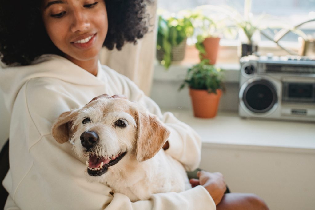 Woman with afro and cream colored hoodie holding a small wire haired dog while sitting next to a window sill filled with plants and a sterio.