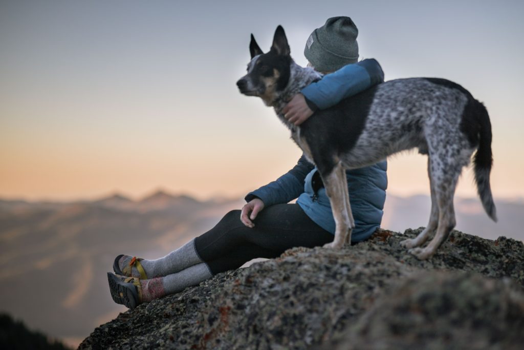 cattle dog standing on rock with owner