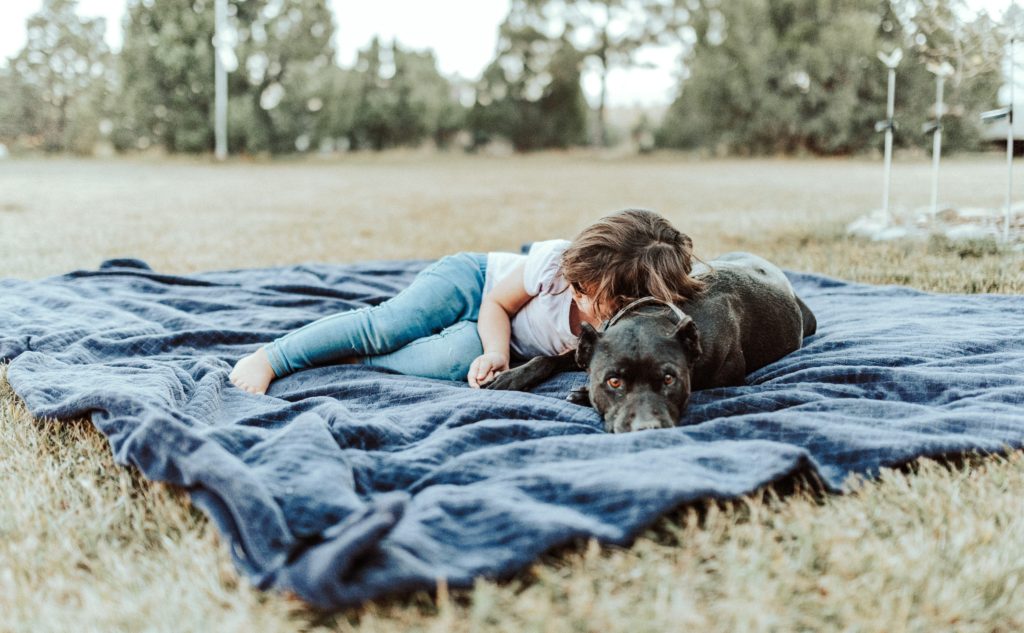 Black dog with cropped ears laying on blanket outside with small child